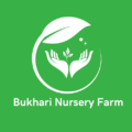 Bukhari Nursery Farm